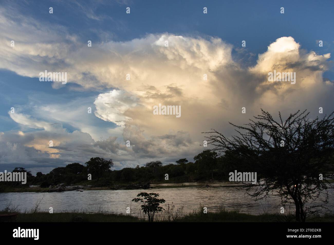 A Cumulonimbus storm cloud develops over Ruaha. Such storm clouds often develop on hot days and unleash powerful afternoon and evening deluges. Stock Photo