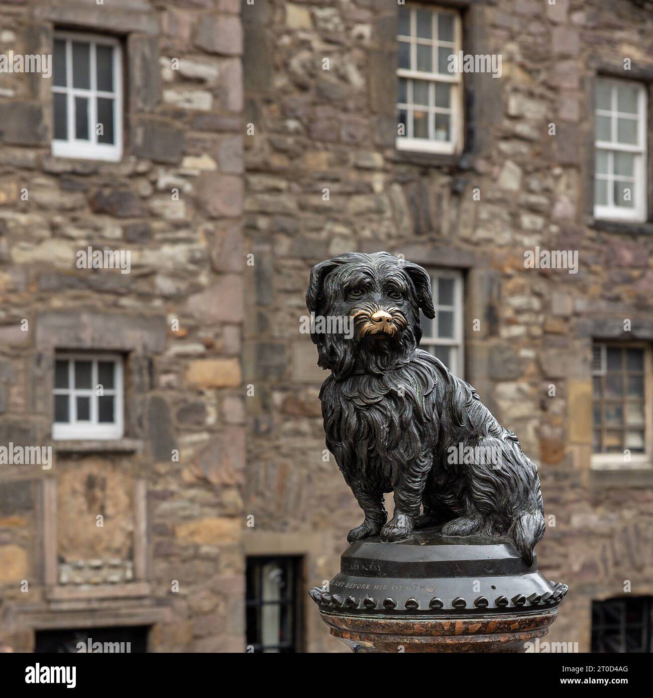 Greyfriars Bobby in Edinburgh Stock Photo - Alamy