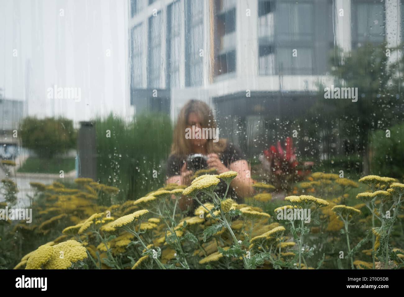 Portrait of woman taking photographs of flowers outside. Stock Photo