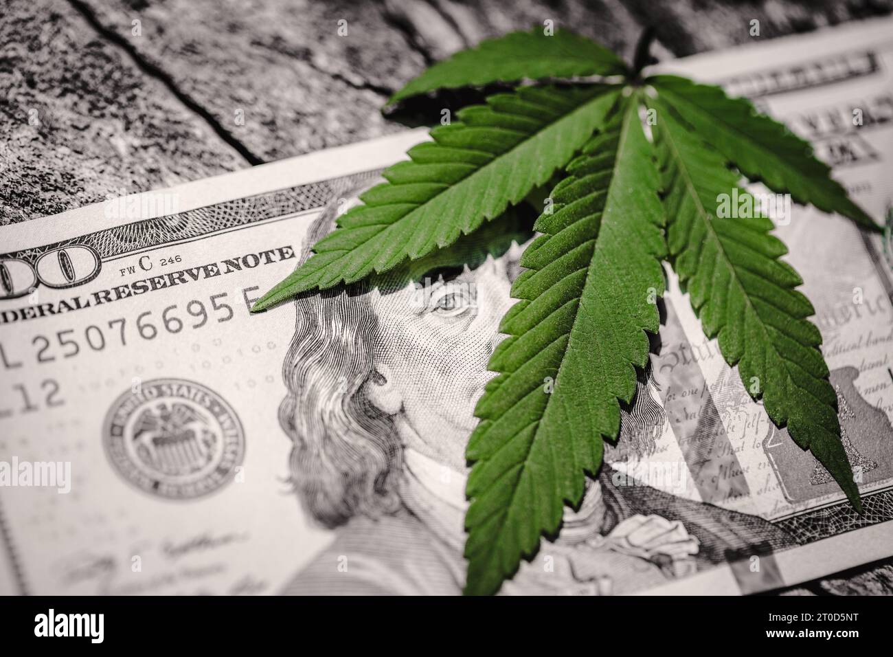Money and marijuana. Concept of business, medicine and selling hemp