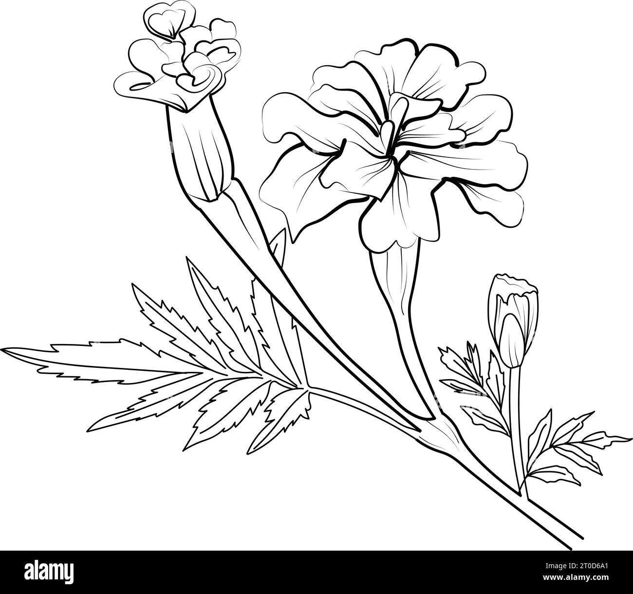 october birth flower tattoo designs, small october birth flower tattoo