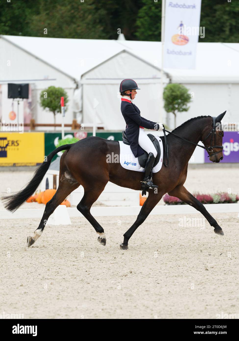 Rosalind CANTER of Great Britain with Mhs Seventeen during dressage at