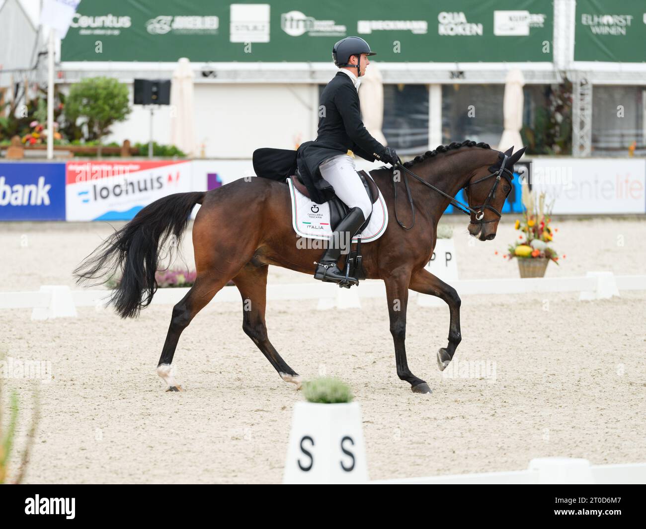 Umberto RIVA of Italy with Falconn Sunheup Z during dressage at the