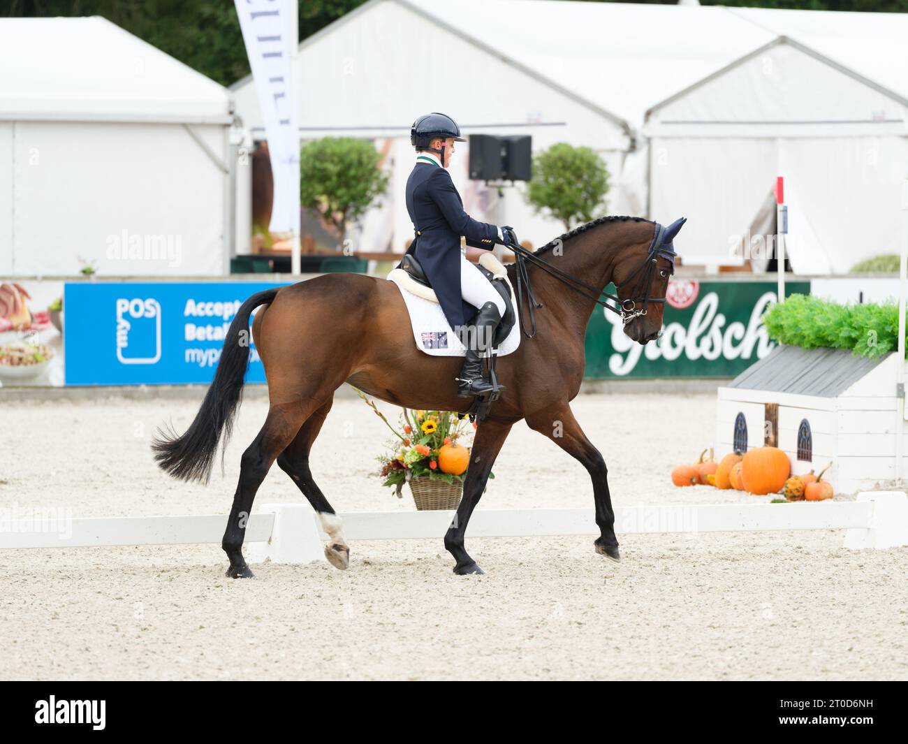 Samantha BIRCH of Australia with Jutopia during dressage at the Boekelo