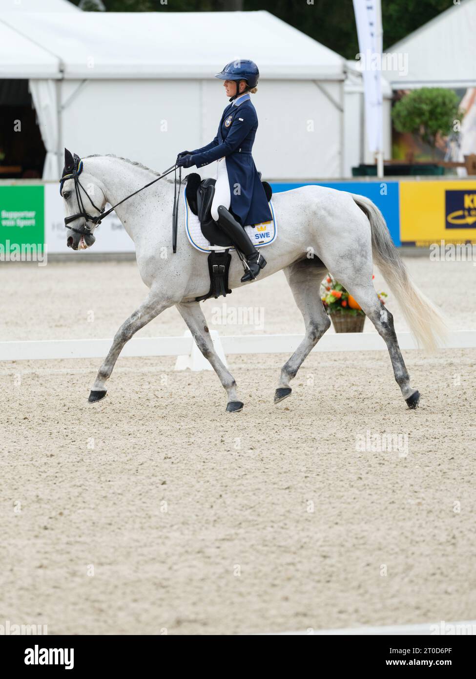 Frida ANDERSEN of Sweden with Stonehavens Baby Blue during dressage at the Boekelo Horse Trials
