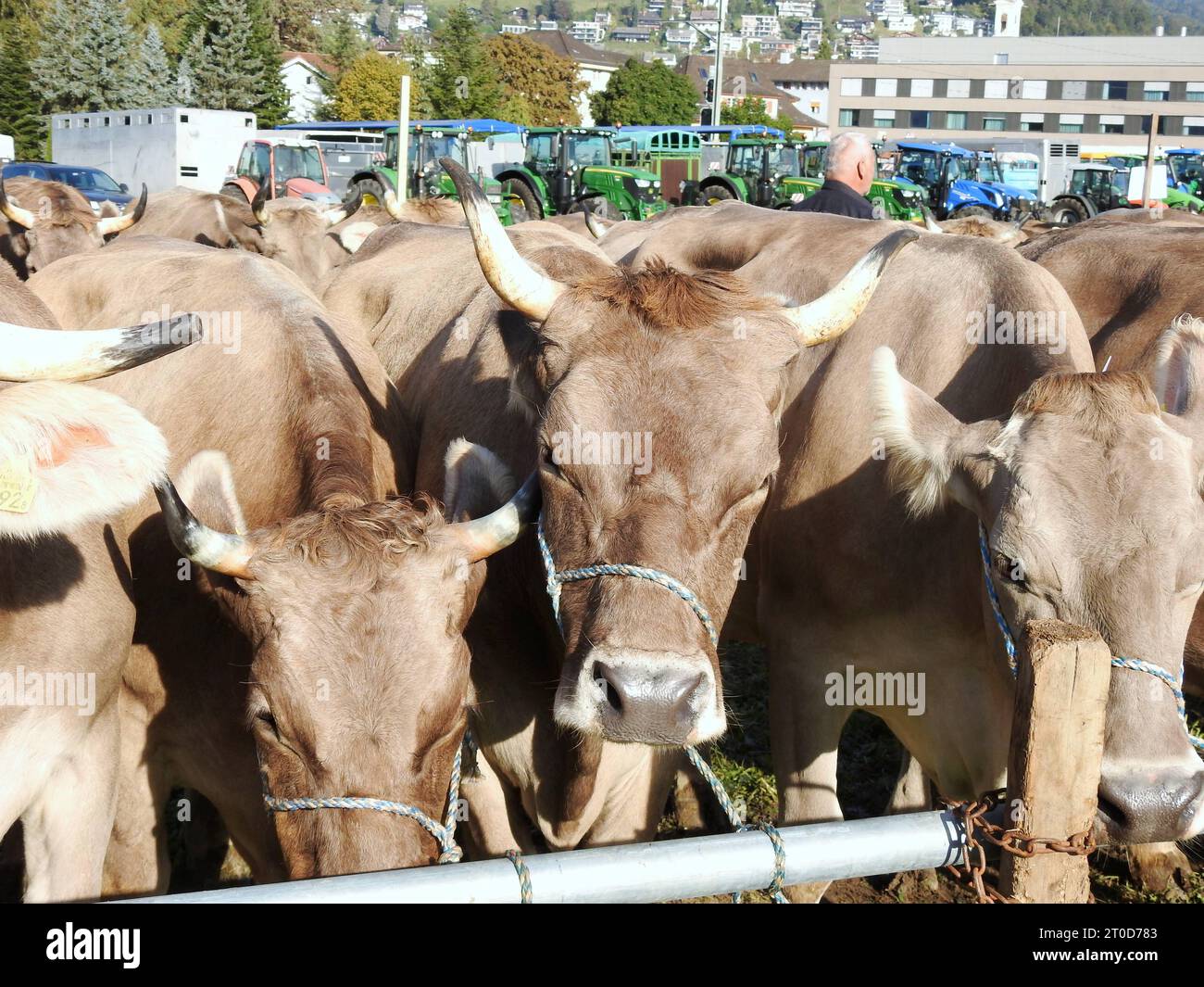 jobs in der landwirtschaft schweiz