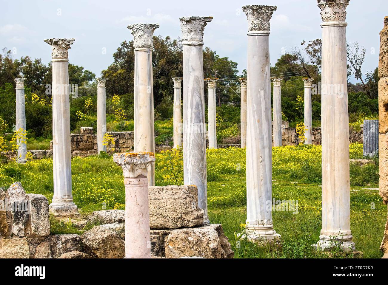 Salamis cyprus columns roman ruins hi-res stock photography and images ...
