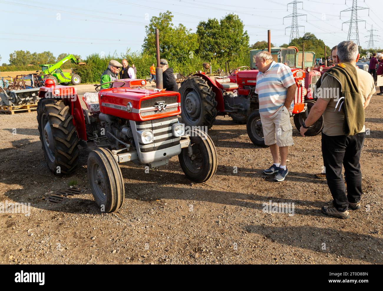 Vintage Massey Ferguson tractors at auction sale of vintage farming