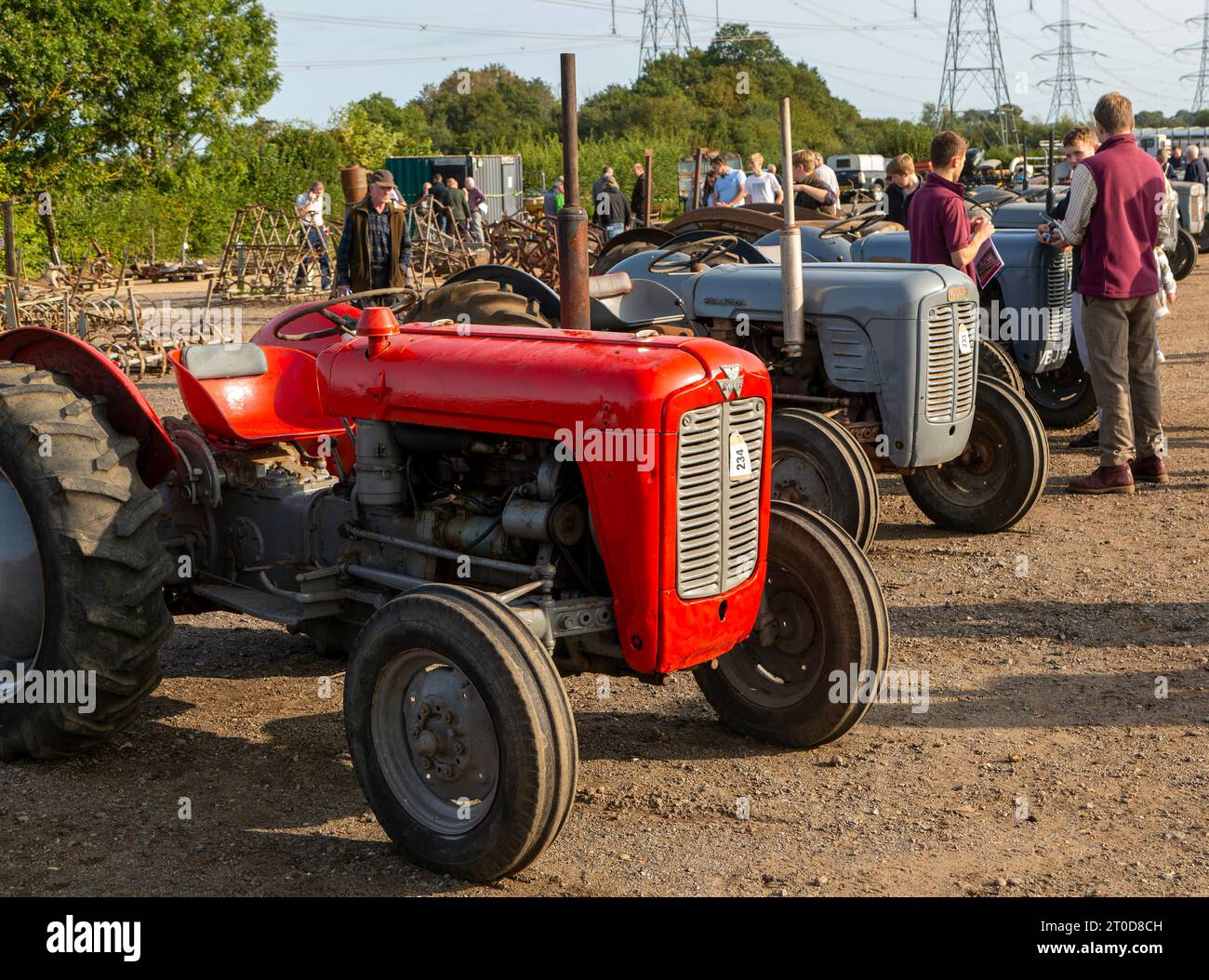 Vintage Massey Ferguson tractors at auction sale of vintage farming
