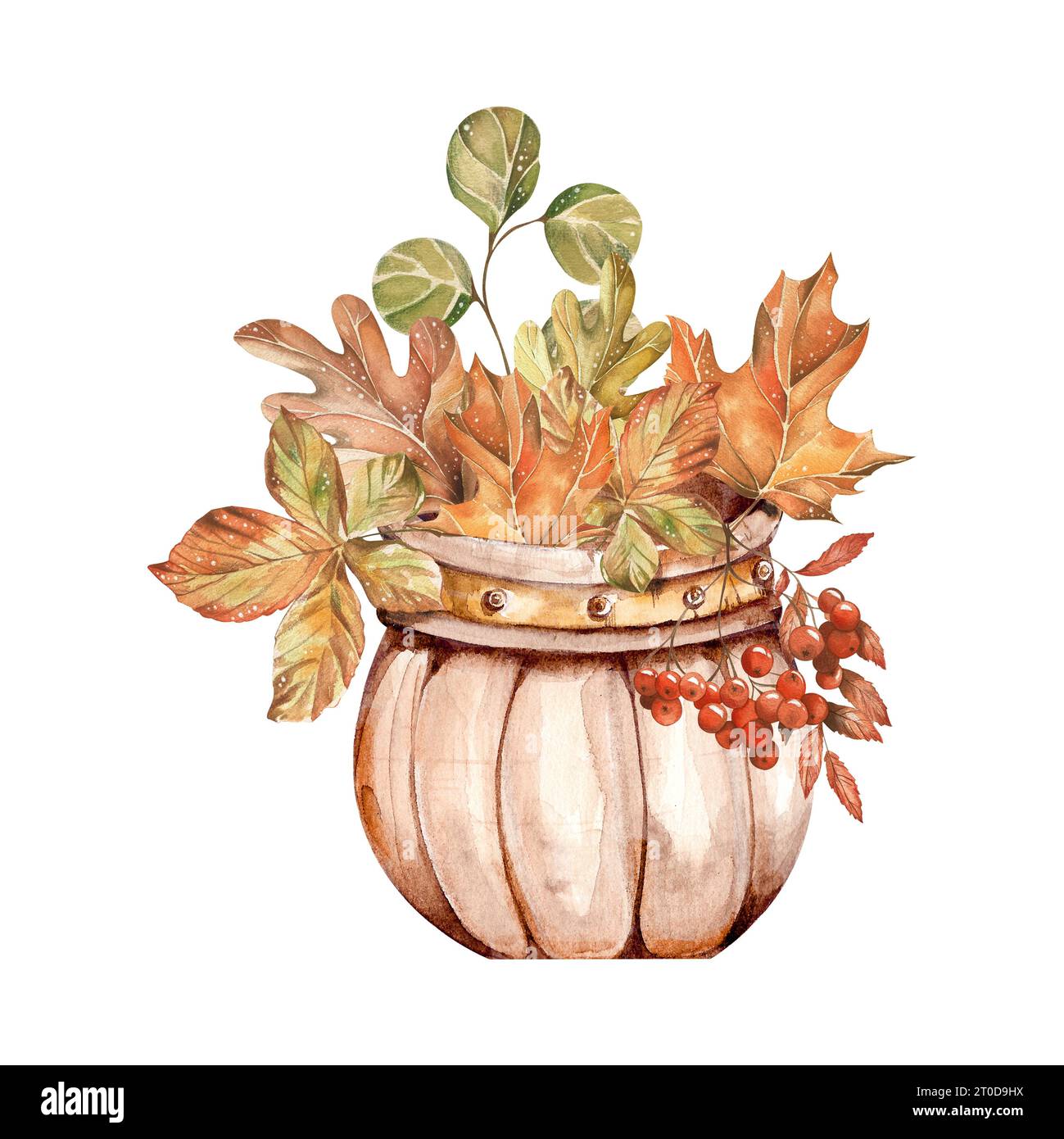 Watercolor autumn bouquet in vase of leaves and rowanberry . Hand ...