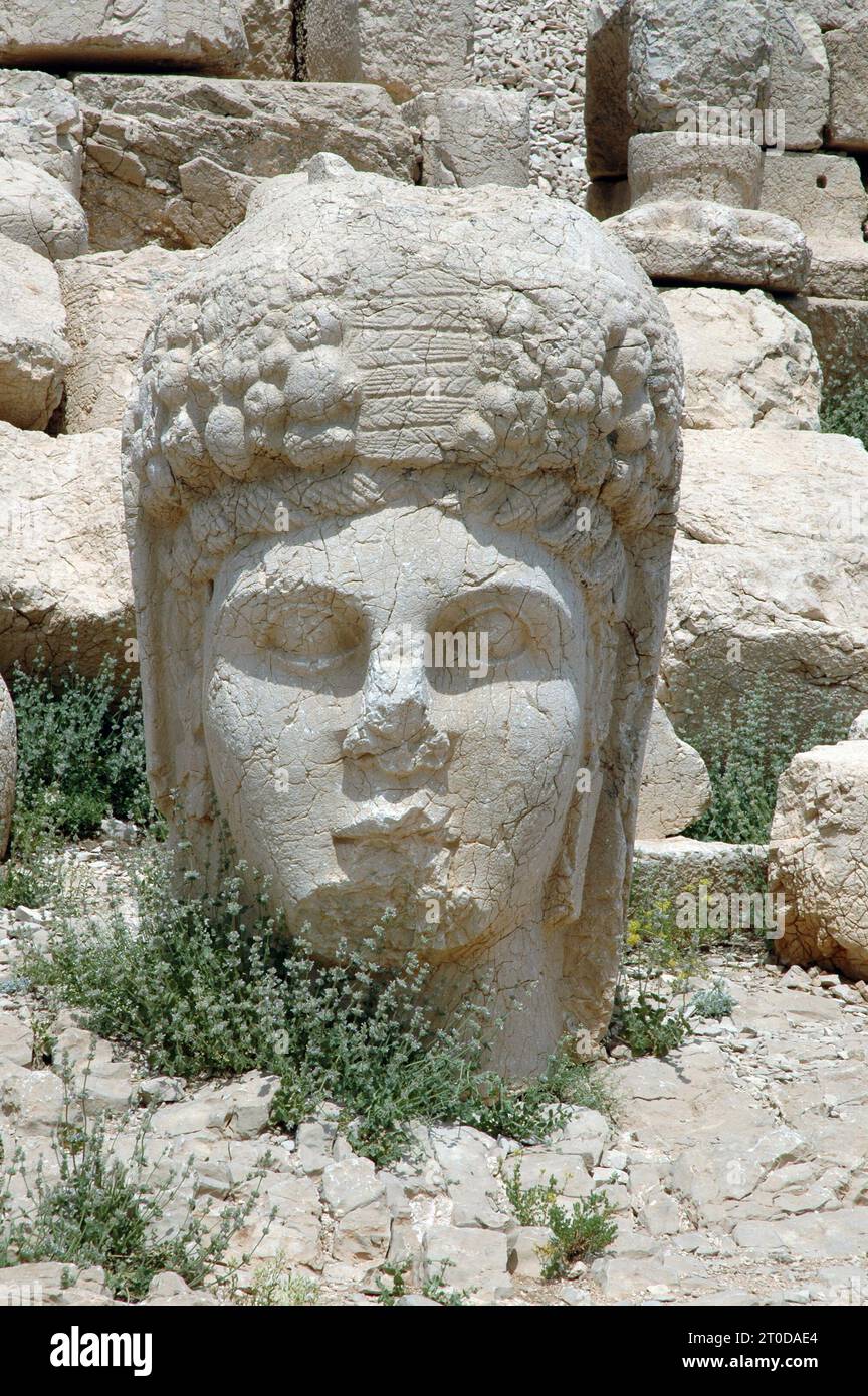 Heads of hercules and antiochus hi-res stock photography and images - Alamy