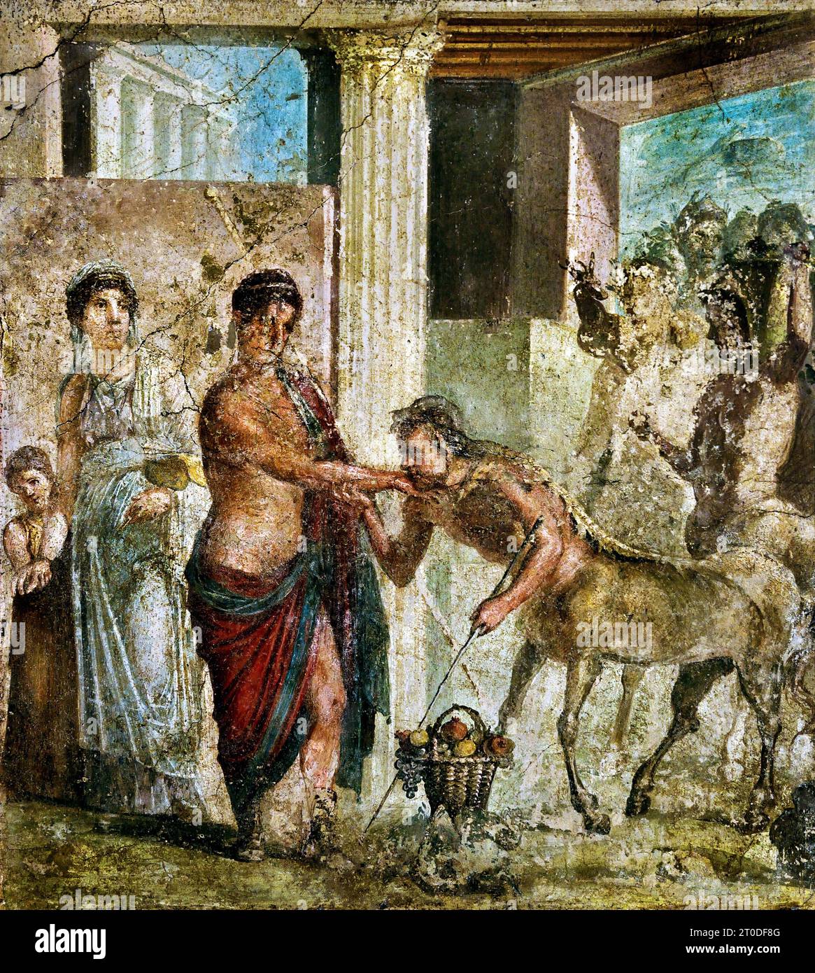 Pirithous with Hippodamia at a wedding where centaurs kidnapped the Lapith women, House of Gavius Rufus VII, Fresco Pompeii Roman City is located near Naples in the Campania region of Italy. Pompeii was buried under 4-6 m of volcanic ash and pumice in the eruption of Mount Vesuvius in AD 79. Italy Stock Photo