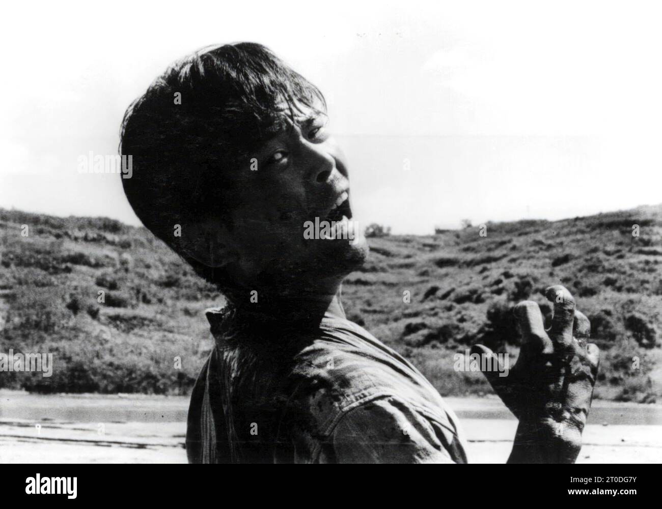 Hisashi igawa hires stock photography and images Alamy