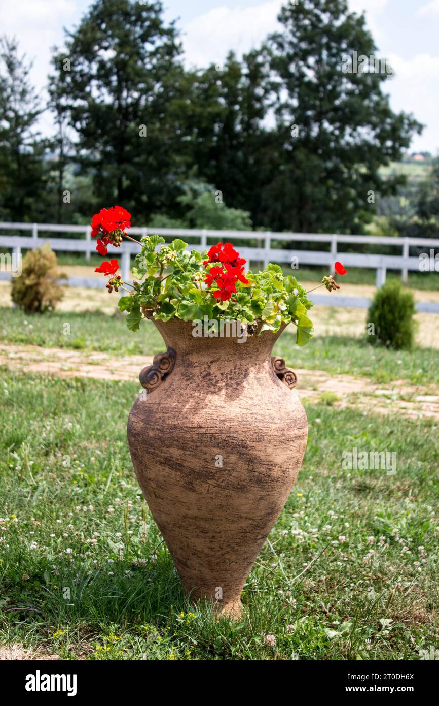 A vibrant red flowerpot overflowing with joy and life stands in stark