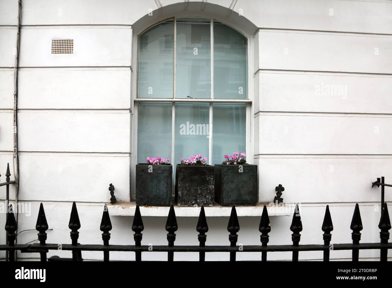 Flower Boxes on Window Ledge of House Sydney Street Chelsea London England Stock Photo
