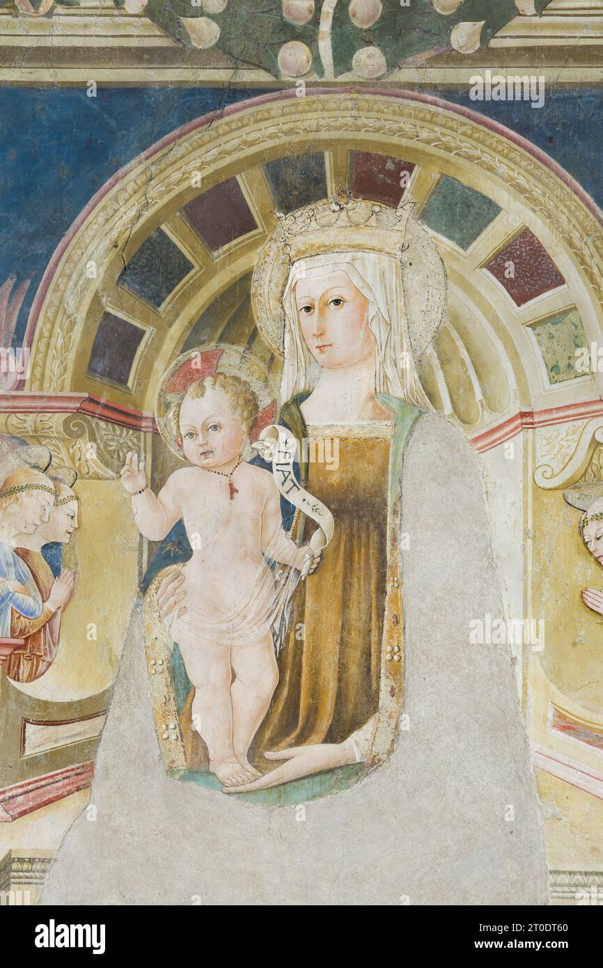 Assisi (Italy, Umbria - province of Perugia), Oratory of the Pilgrims. Fresco by Matteo da Gualdo (Perugine school). Altar wall, Madonna and Child with the two saints Anthony and James, 15th century Stock Photo