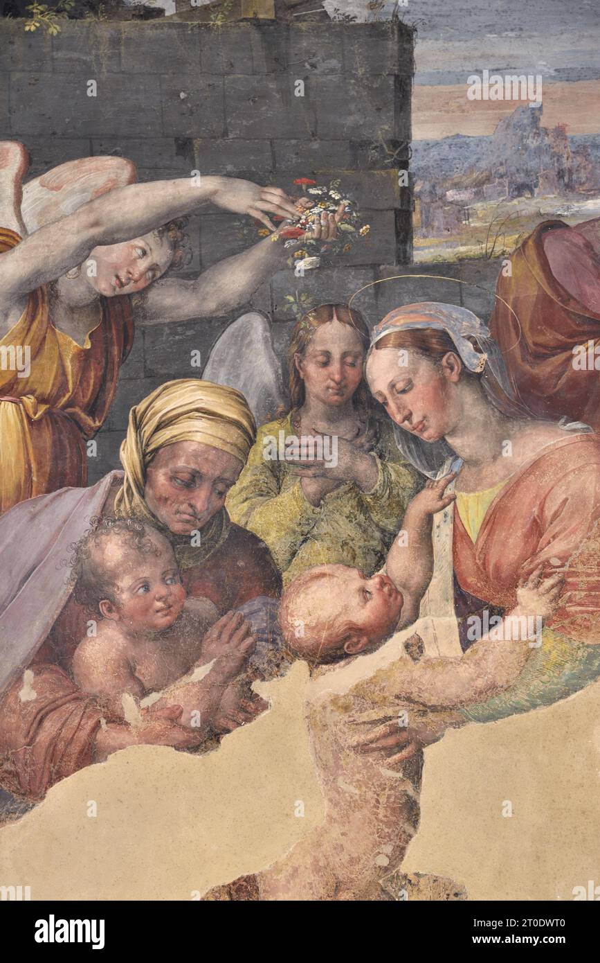 Raffaellino del colle hires stock photography and images Alamy