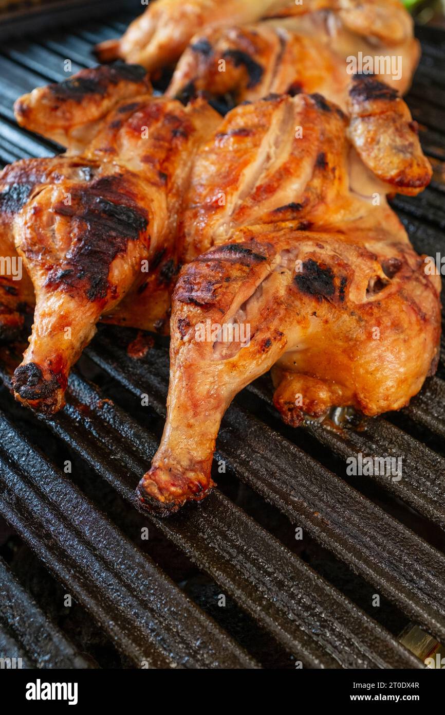 Grilled Whole Chickens on Barbecue Grill with Focus on Foreground