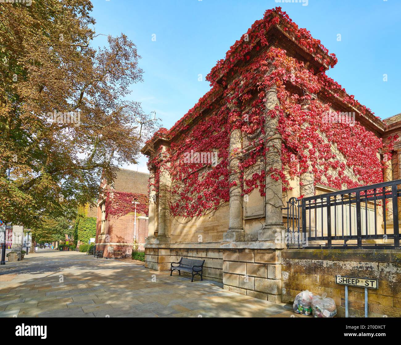 Ivy clad walls at the Alfred East art gallery and public library on