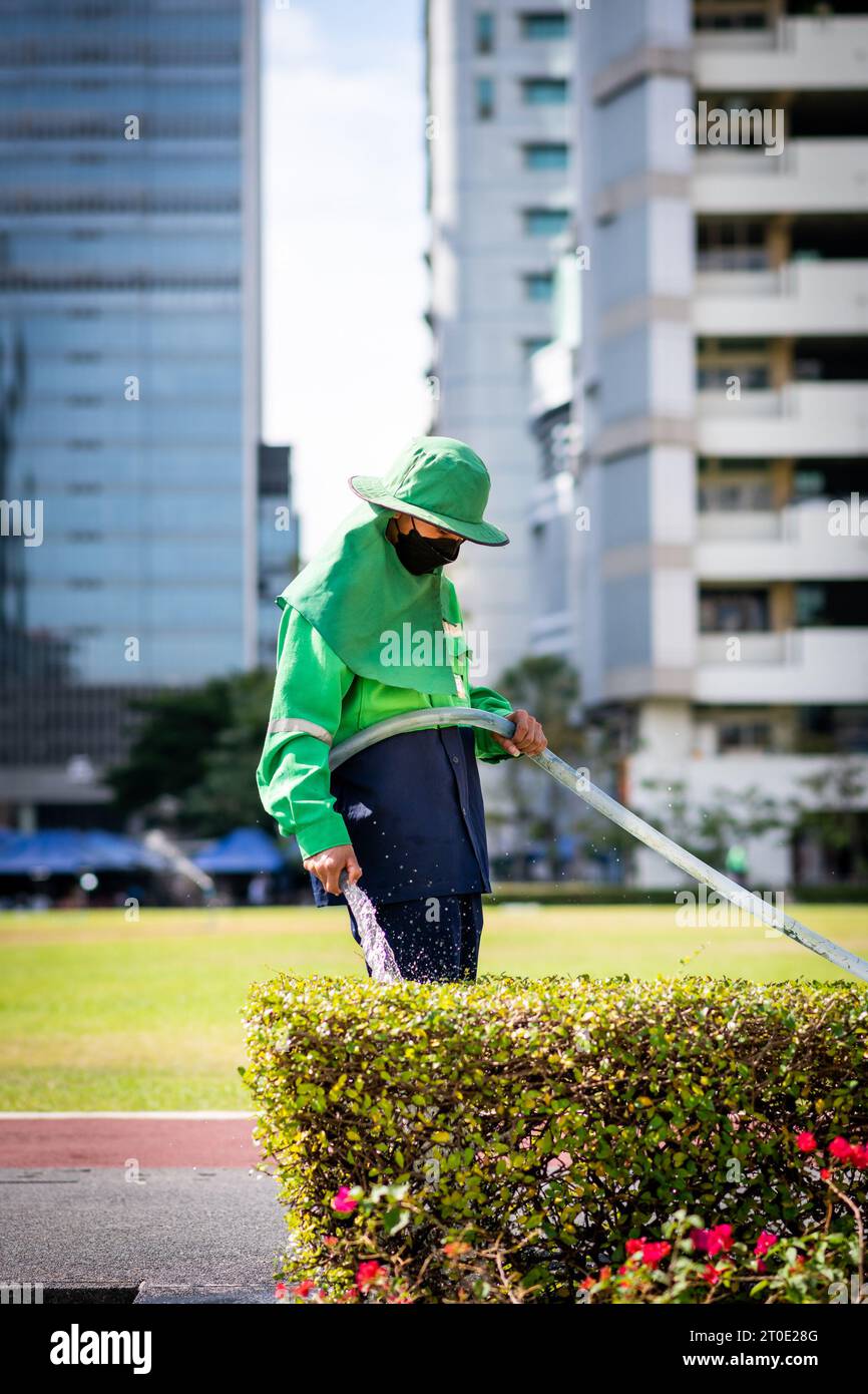A Thai gardener uses a hosepipe to water a hedge on the grounds of Srinakharinwirot University Bangkok, Thailand. Stock Photo