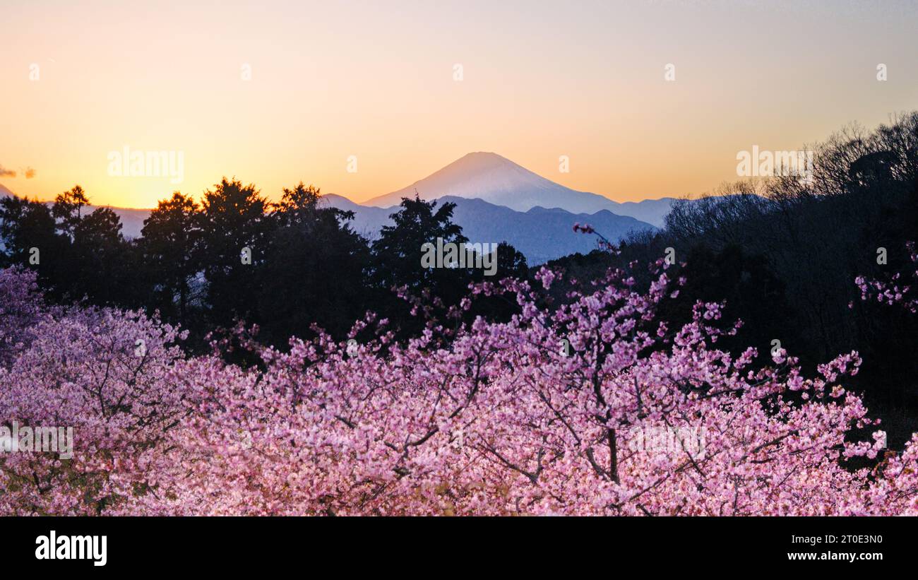 As observed from Oi Yume-no-Sato Park in Oimachi, Kanagawa Prefecture, the sun appears to be located south of Mt. Fuji, with an azimuth of 248.5 degre Stock Photo