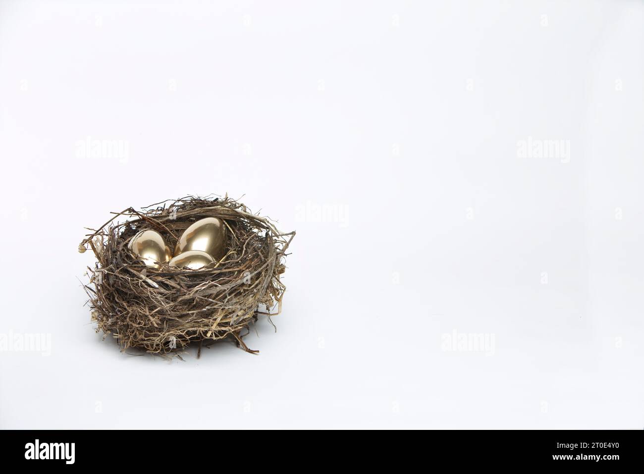 Golden egg in birds nest Stock Photo