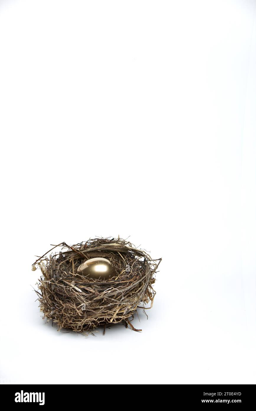 Golden egg in birds nest Stock Photo
