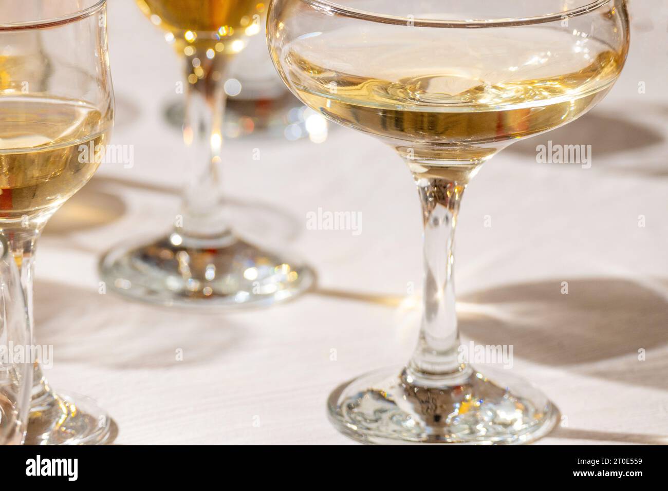 Scribe White Wine Glasses
