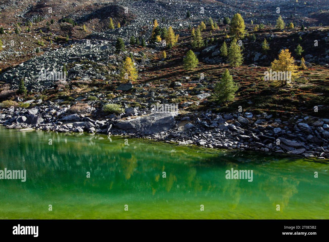 Grünsee, Zermatt, Wallis, Valais, Swiss Alps Stock Photo