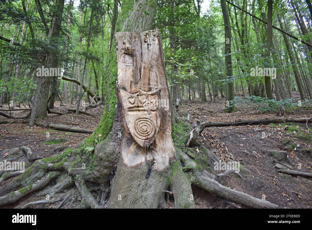 Holzschnitzerei im wald hi-res stock photography and images - Alamy