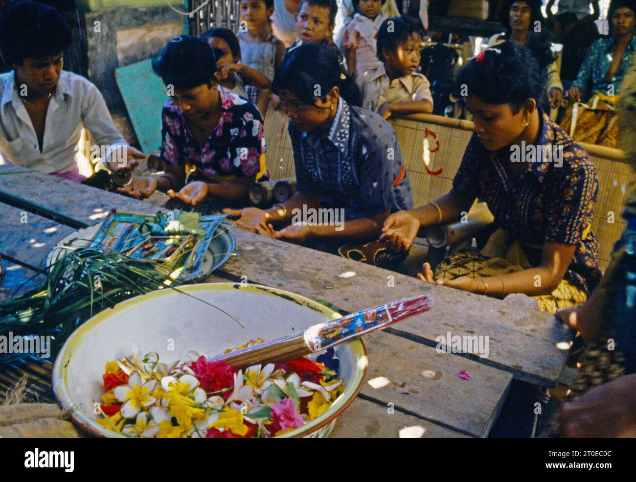 Bali Indonesia Turtle Island Teeth Filing (Metatah) Cultural Procedure
