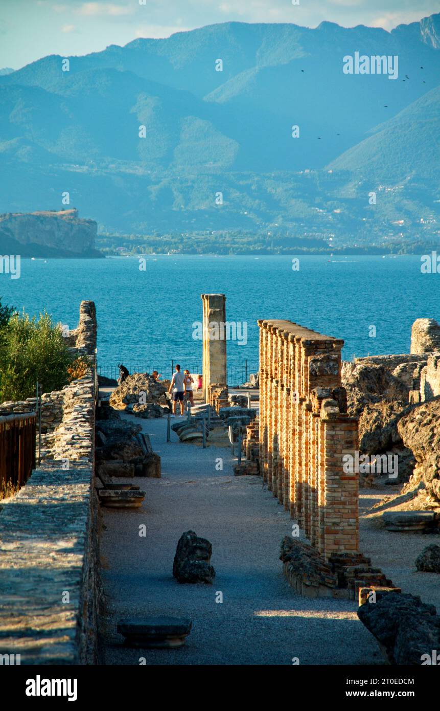 Albero della colonna hi-res stock photography and images - Alamy