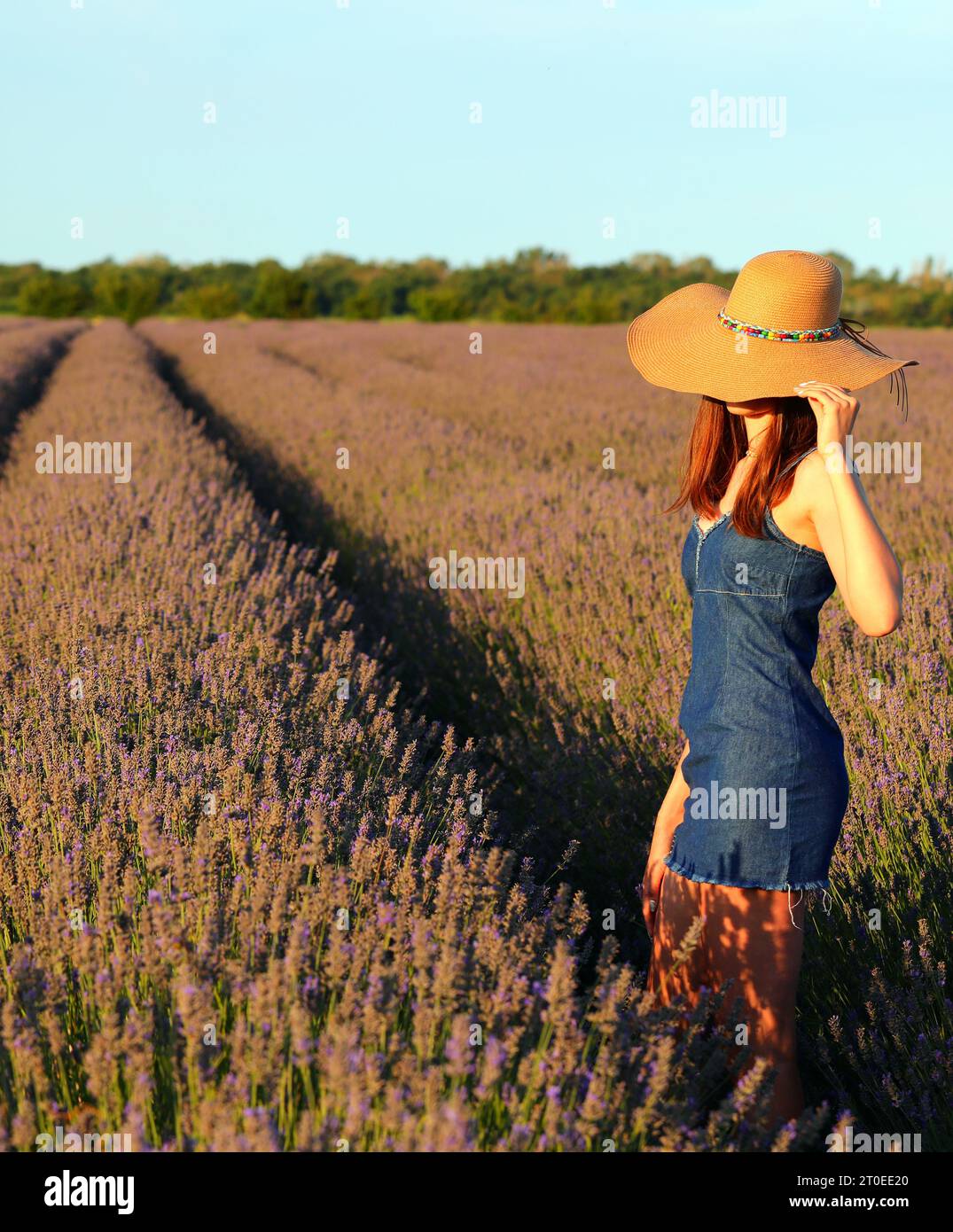 young slende girl in skimpy jeans dress and miniskirt and straw hat in lavender flowers Stock Photo