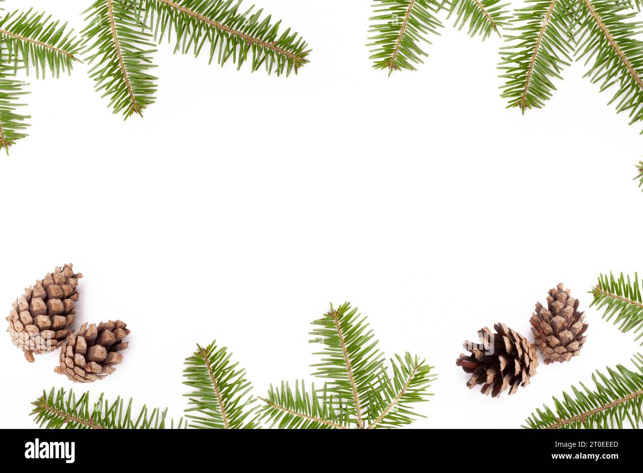 Christmas decoration with fir branches and pine cones Stock Photo - Alamy