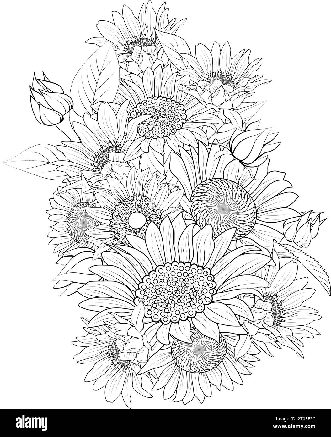 sunflower, sunflower drawing, sunflower drawing for kids, detailed