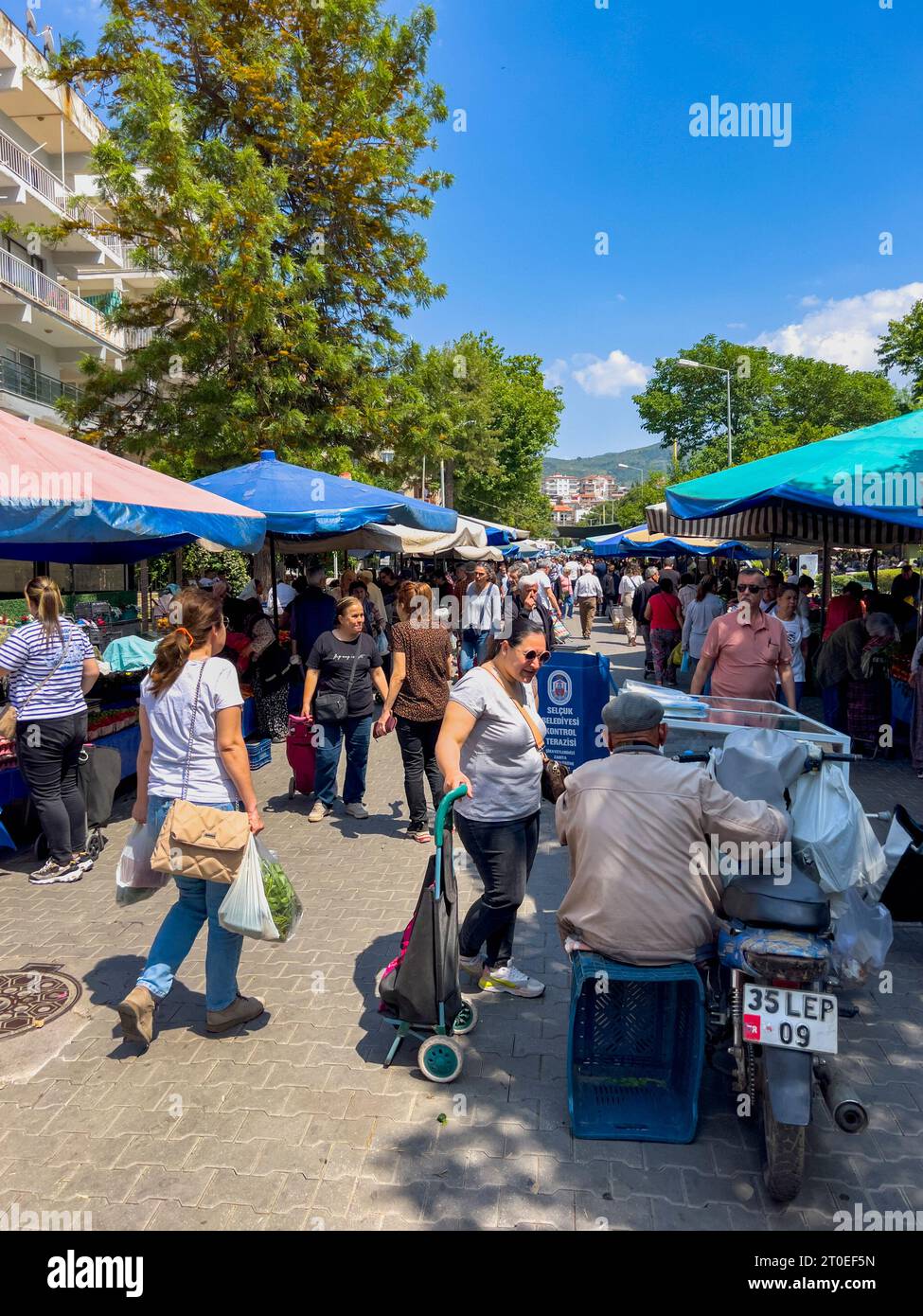 Stallholder surrounded by bags and luggage, apparently made by well known  brands, at the Saturday market, aka Berivan Market, Selcuk, Turkey Stock  Photo - Alamy