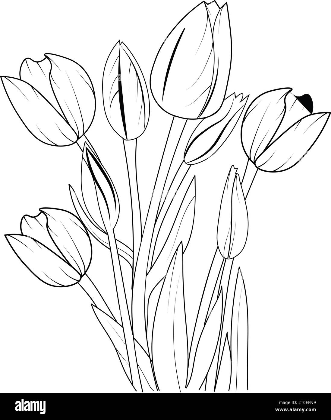 Рисунок тюльпана