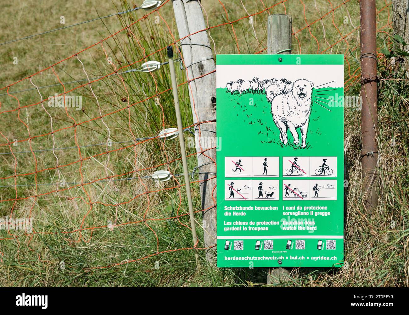 Herd guarding dogs sign. Rules and illustrations in German, French, Italian and English for working dogs for large carnivore presence. Selective focus Stock Photo