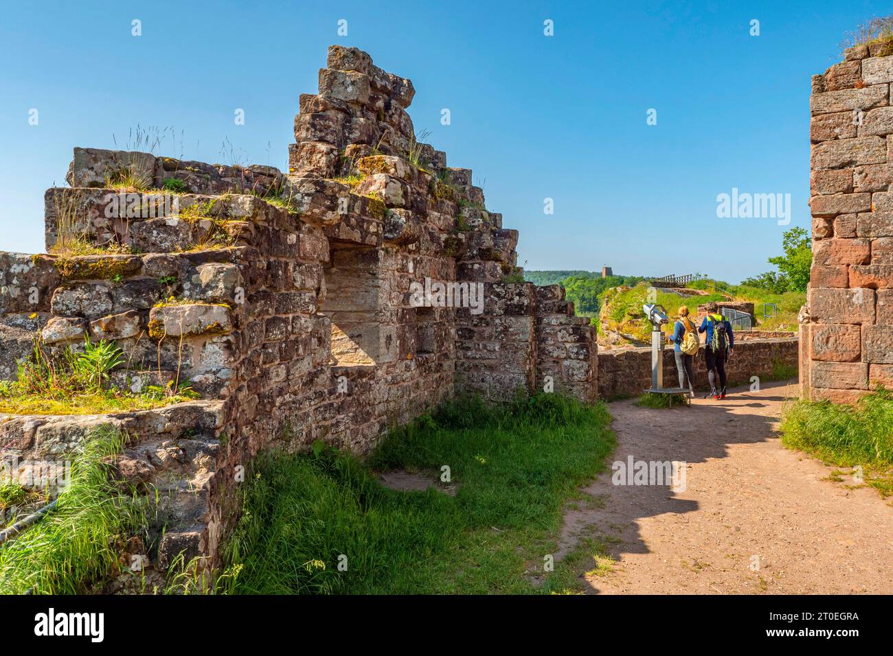 Rock castle Hohbarr (Chateau du Haut-Barr) with view to the castle Groß-Geroldseck near Saverne (Zabern), Bas-Rhin, Alsace, Grand Est, Alsace-Champagne-Ardenne-Lorraine, France Stock Photo