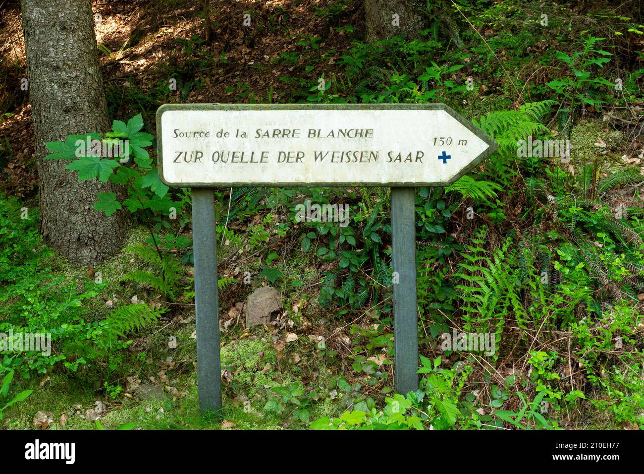 Reference to the source of the White Saar at the Donon, Vosges, Departement Bas-Rhin, Grand Est, France Stock Photo