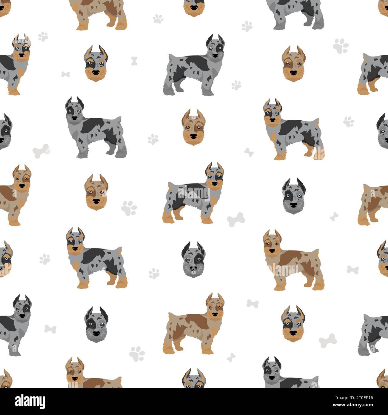 Confetti Schnauzer seamless pattern. Miniature Schnauzer Australian