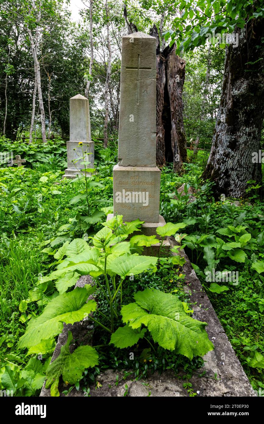 Europe, Poland, Podkarpackie Voivodeship, Bieszczady Mountains, former village Dzwiniacz Stock Photo