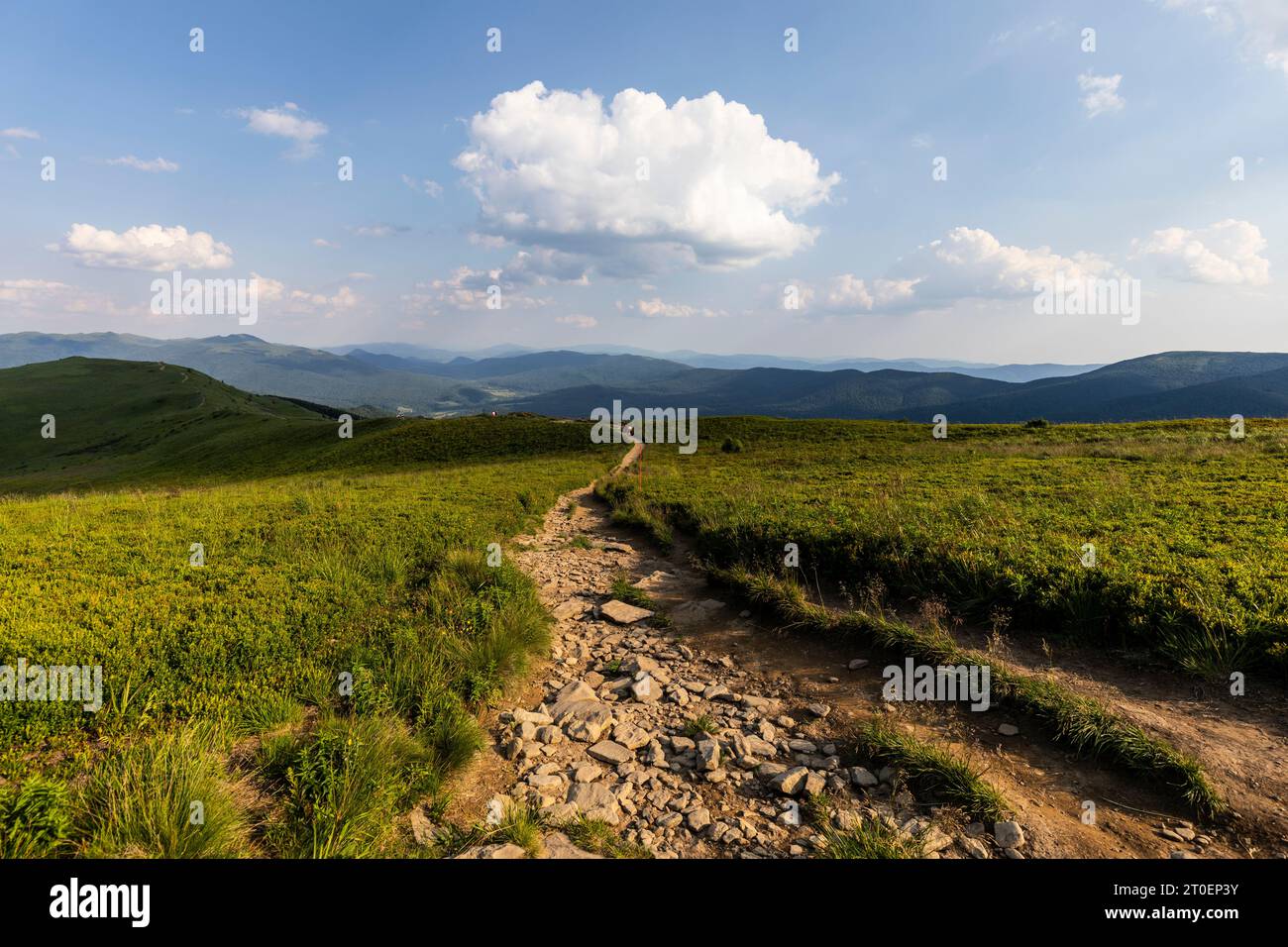 Europe, Poland, Podkarpackie Voivodeship, Bieszczady, Polonina Carynska, Bieszczady National Park Stock Photo