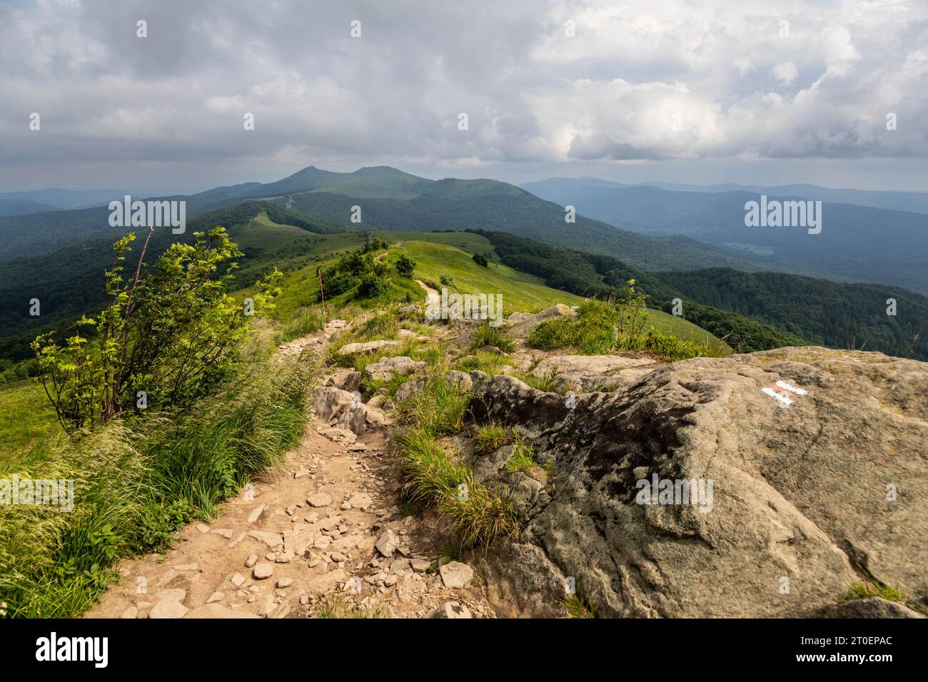 Europe, Poland, Podkarpackie Voivodeship, Bieszczady, Polonina Wetlinska, Bieszczady National Park Stock Photo