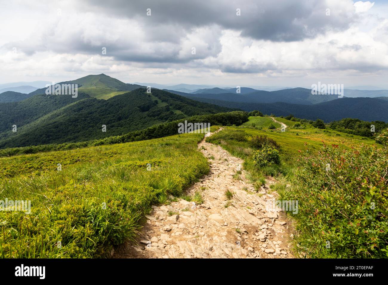 Europe, Poland, Podkarpackie Voivodeship, Bieszczady, Polonina Wetlinska, Bieszczady National Park Stock Photo