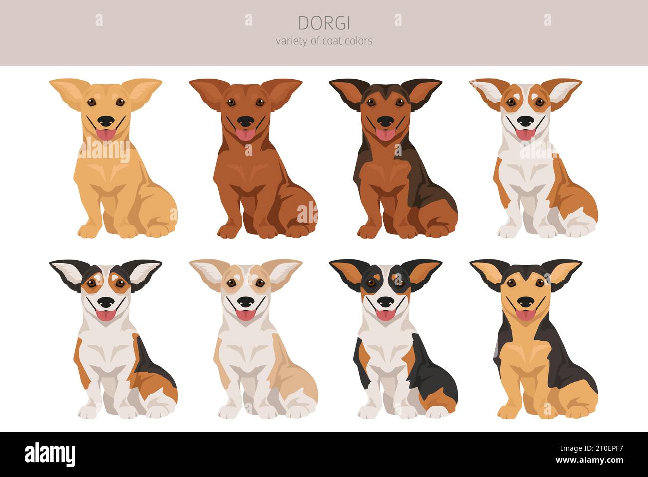Dorgi clipart. Welsh corgi Dachshund mix. Different coat colors