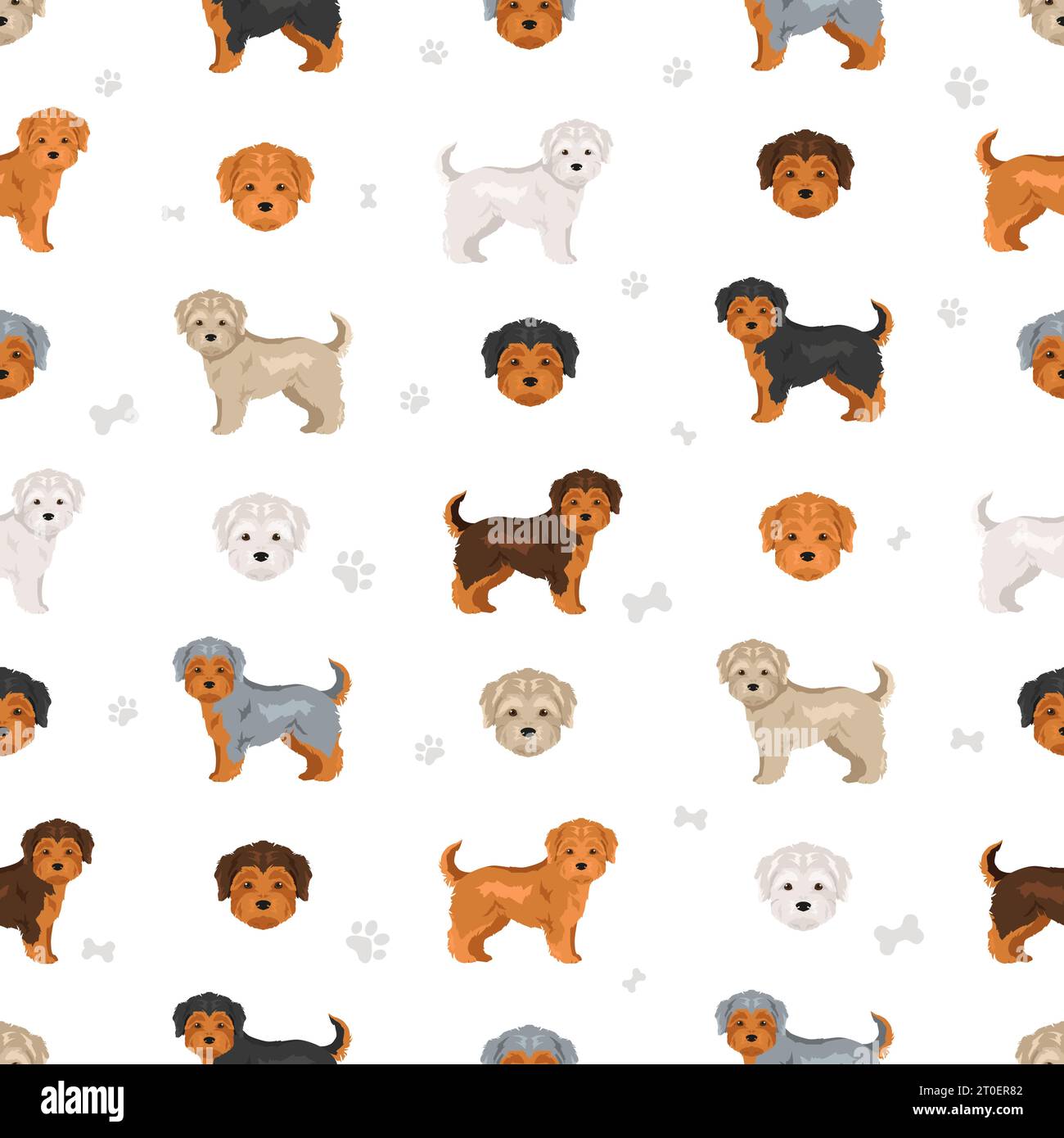 Morkie seamless pattern. Maltese Yorkshire terrier mix. Different coat