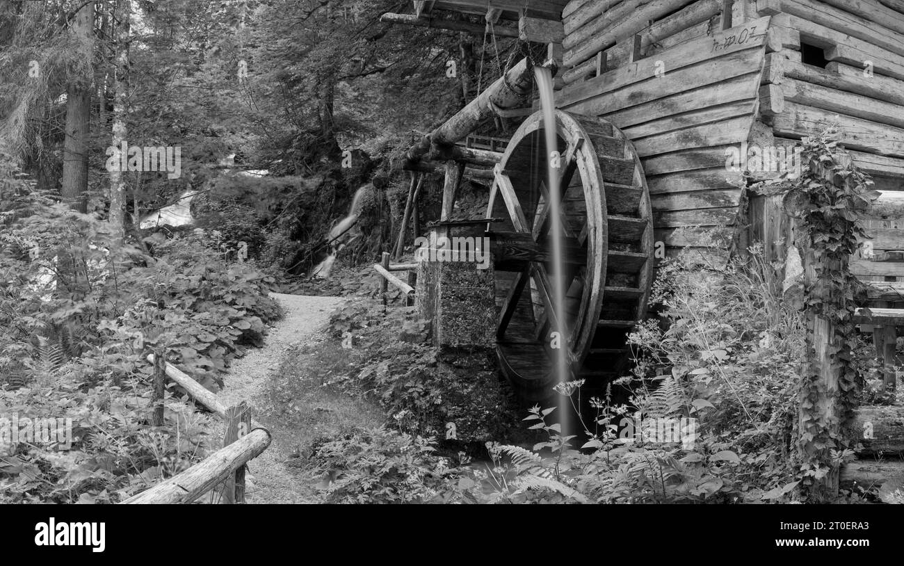 On the Mühlenrundweg as a section of the SalzAlpenSteig, Oberscheffau Stock Photo