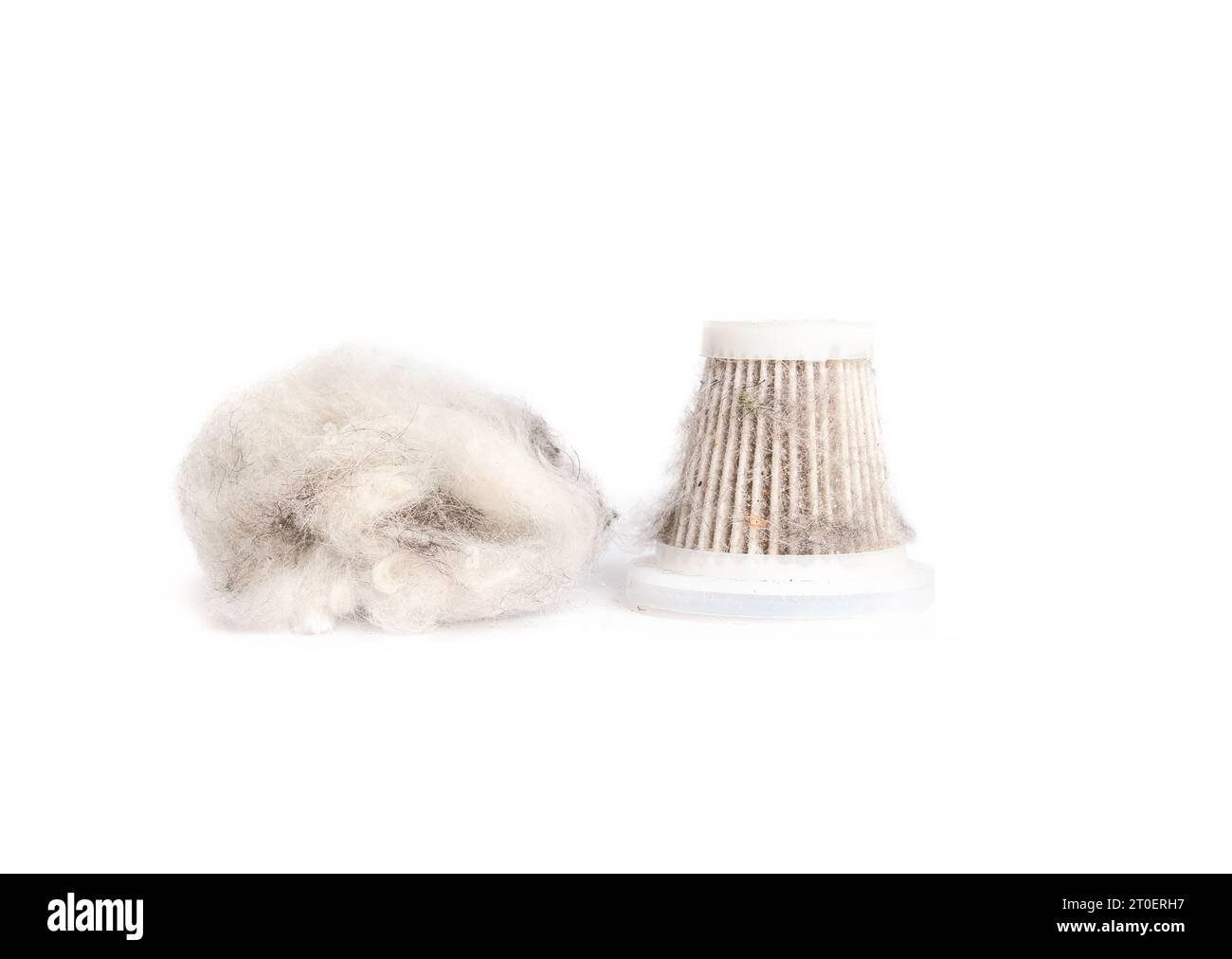 Small vacuum filter with pile of pet fur, hair and dust debris. Cyclonic Vacuum canister content after cleaning a home. White twisted and turned hair Stock Photo