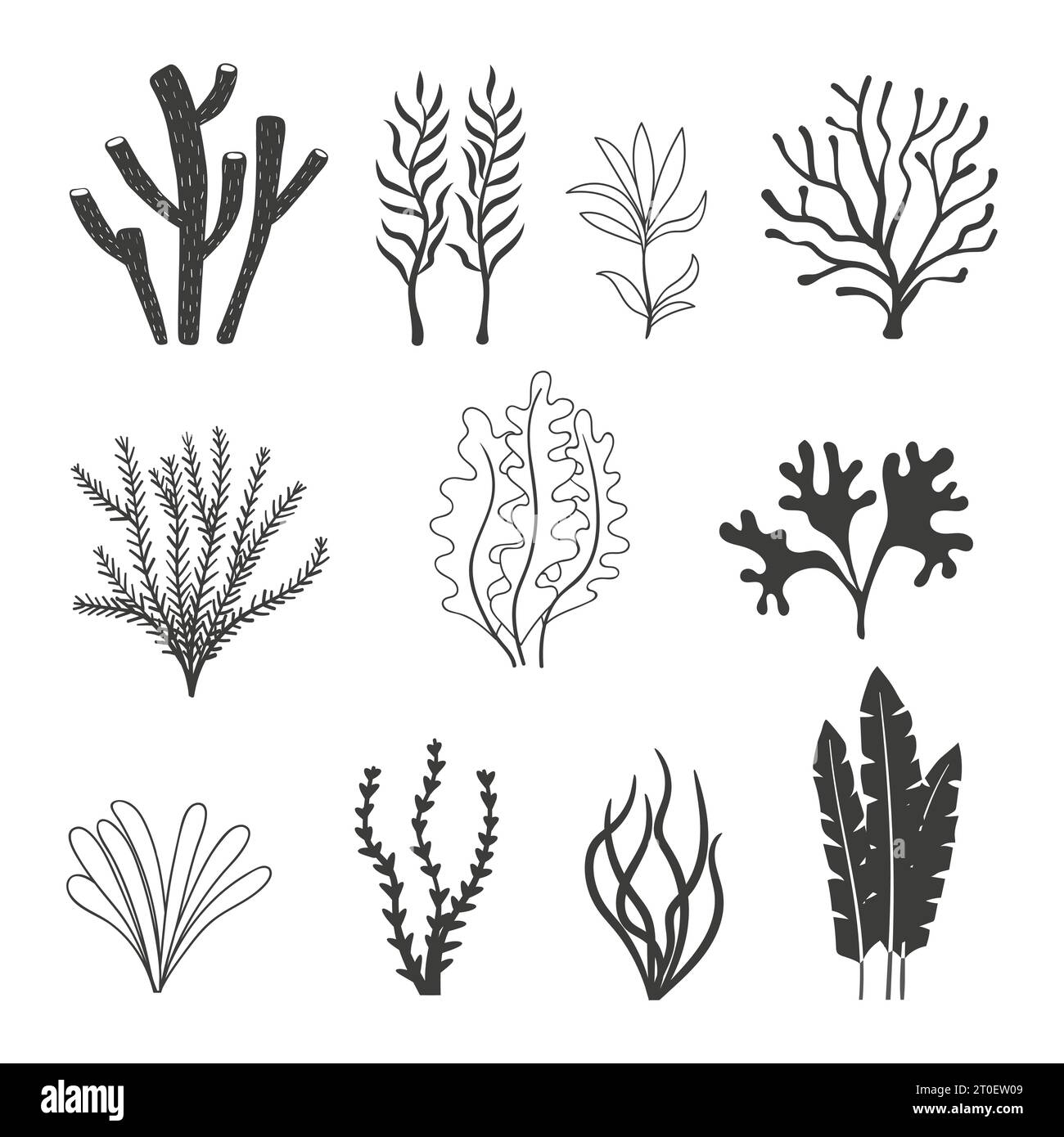 Seaweeds and corals isolated on white. Set of aquarium plants